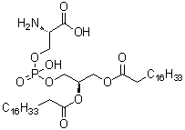 Custom Synthesis for API Intermediates